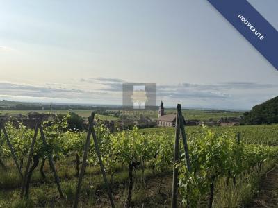 Acheter Terrain Nothalten Bas rhin