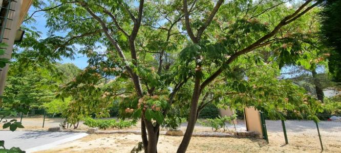 Acheter Maison Cuges-les-pins 699600 euros
