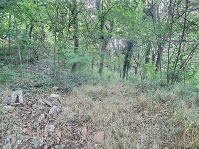 Annonce Vente Terrain Labegude 07