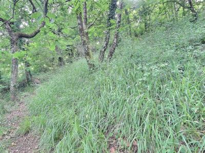 Acheter Terrain Labegude Ardeche