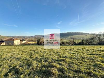 Acheter Terrain 10000 m2 Vaubexy