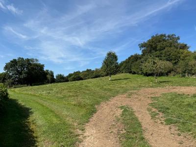 Acheter Terrain Vaubexy Vosges