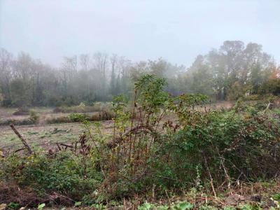 Annonce Vente Terrain Lectoure 32
