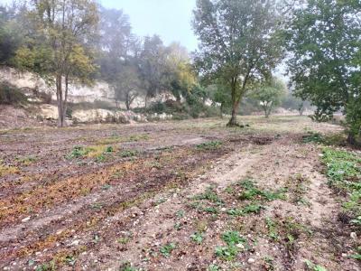 Acheter Terrain 20000 m2 Lectoure