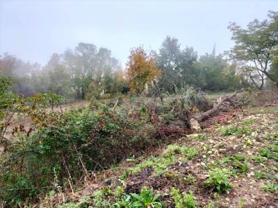 Acheter Terrain Lectoure Gers