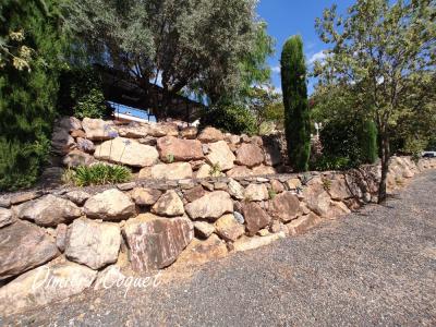 Acheter Maison Pezenas 576000 euros