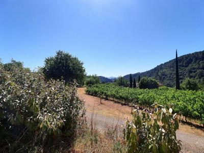 Acheter Maison Chambonas Ardeche