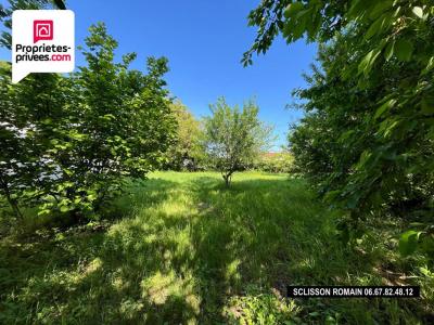 For sale Saint-fort-sur-gironde 1255 m2 Charente maritime (17240) photo 3