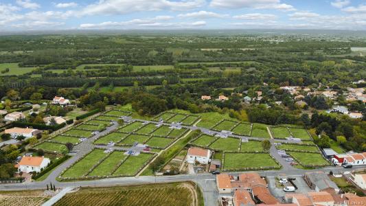 For sale Champtoceaux OREE-D'ANJOU Maine et loire (49270) photo 0