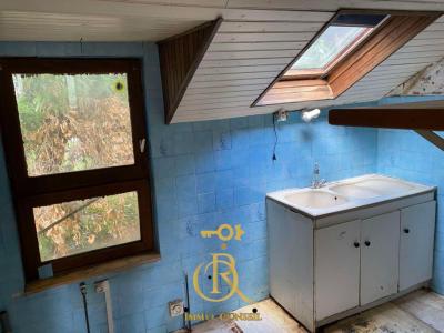 Annonce Vente 5 pices Maison Doyet 03