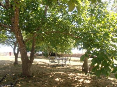 For sale Sauze-vaussais 14 rooms 405 m2 Deux sevres (79190) photo 3