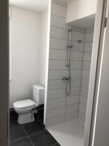 Louer Appartement 46 m2 Bischheim