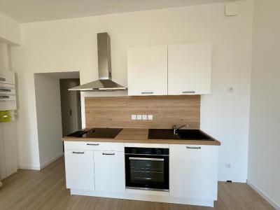 Annonce Location 2 pices Appartement Saint-etienne 42