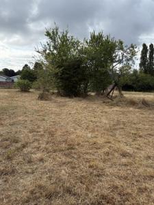 Acheter Terrain Saint-caprais-de-bordeaux 159800 euros