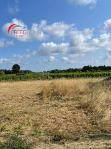 For sale Cars 570 m2 Gironde (33390) photo 0