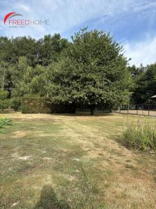 Annonce Vente Terrain Sadirac 33
