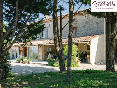 Acheter Prestige Saint-felix-lauragais Haute garonne