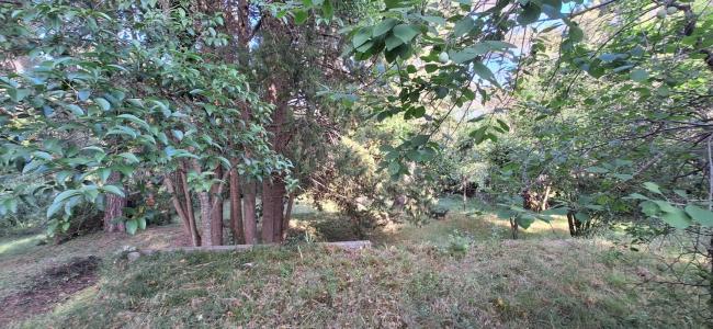 Annonce Vente Terrain Mougins 06