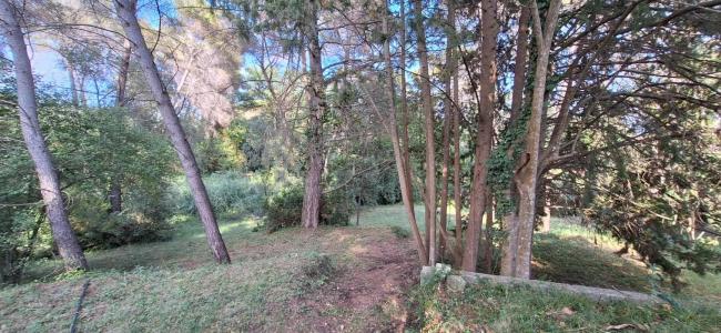 Acheter Terrain 3900 m2 Mougins