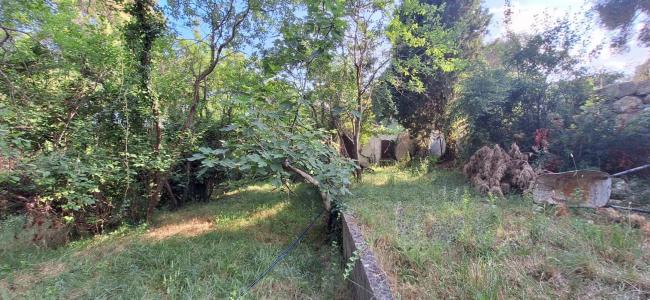 Acheter Terrain Mougins Alpes Maritimes