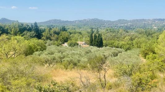 For sale Paradou 7 rooms 165 m2 Bouches du Rhone (13520) photo 0