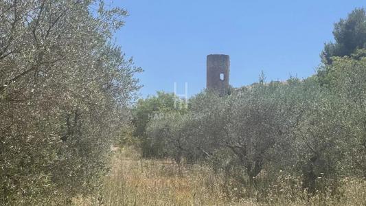 For sale Paradou 7 rooms 165 m2 Bouches du Rhone (13520) photo 3