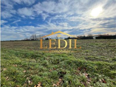 For sale Moissac 1 room 28147 m2 Tarn et garonne (82200) photo 0