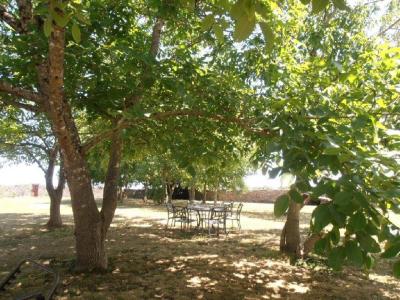 For sale 14 rooms 405 m2 Deux sevres (79190) photo 3