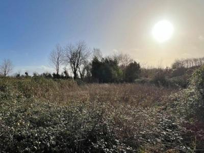For sale 5 rooms 103 m2 Deux sevres (79190) photo 3