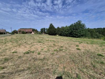 Annonce Vente Terrain Saint-usuge 71