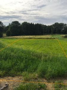 For sale Vouzy 905 m2 Marne (51130) photo 1