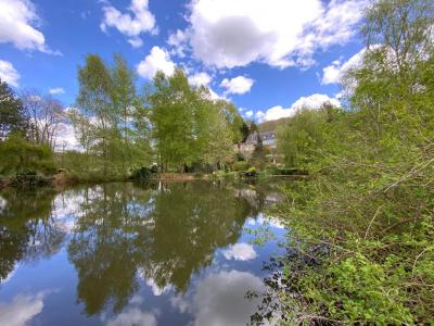 Acheter Maison 262 m2 Juvigny-le-tertre