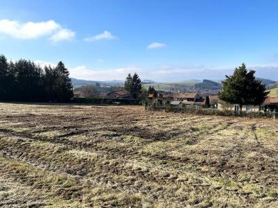 For sale Violay 1030 m2 Loire (42780) photo 0