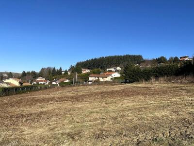 For sale Violay 1030 m2 Loire (42780) photo 1