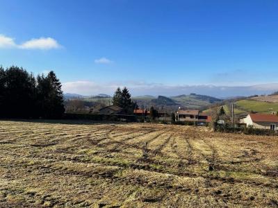 For sale Violay 1030 m2 Loire (42780) photo 3