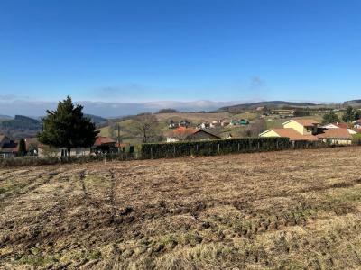 Annonce Vente Terrain Violay 42