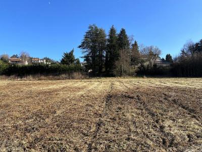 Acheter Terrain Violay 83000 euros