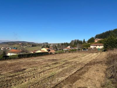 Annonce Vente Terrain Violay 42