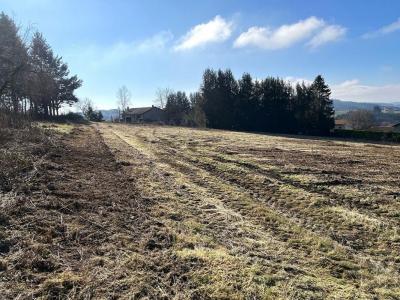 Annonce Vente Terrain Violay 42