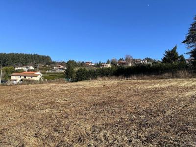 Acheter Terrain Violay 85000 euros