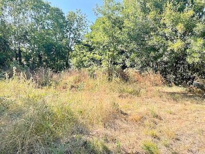 Annonce Vente Terrain Ferrieres 17