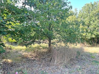 Acheter Terrain 615 m2 Ferrieres