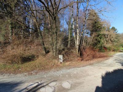 For sale Masevaux 3519 m2 Haut rhin (68290) photo 0