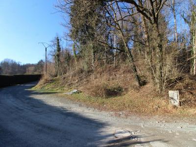 For sale Masevaux 3519 m2 Haut rhin (68290) photo 1