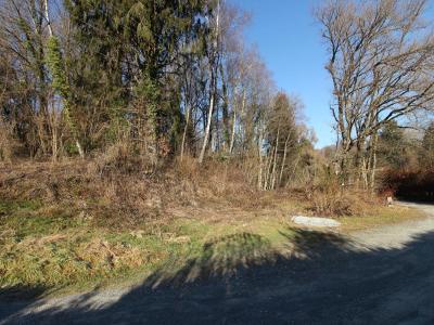 For sale Masevaux 3519 m2 Haut rhin (68290) photo 2