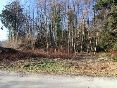 For sale Masevaux 3519 m2 Haut rhin (68290) photo 4