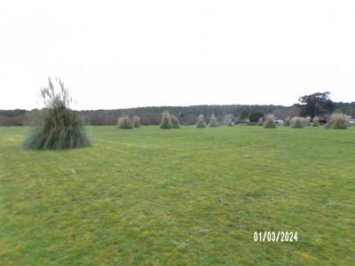 Annonce Vente Terrain Soustons 40