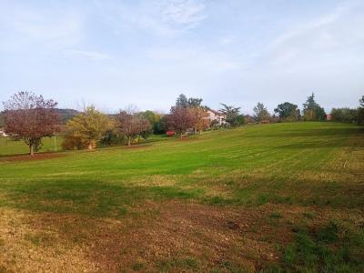 Acheter Terrain 1609 m2 Carlus