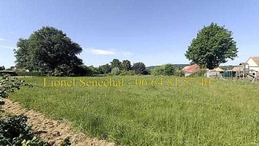 Acheter Terrain 4852 m2 Montbizot