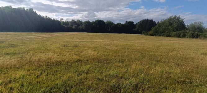 For sale Luxeuil-les-bains 9159 m2 Haute saone (70300) photo 0